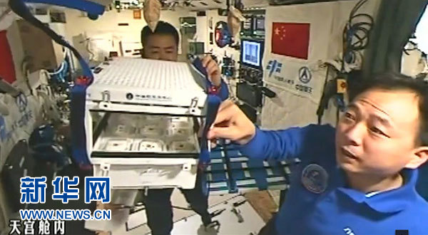 「天宮2号」でレタス栽培　中国人初の「宇宙農家」が誕生