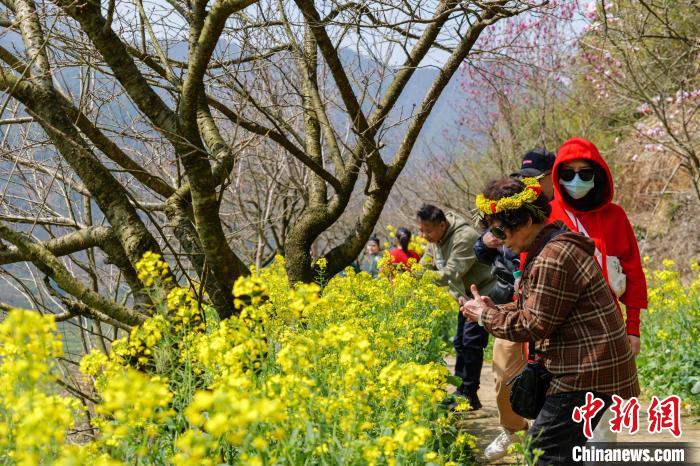 12日、江西省婺源県の篁嶺景勝地で花を観賞する観光客。撮影・黄宇尭