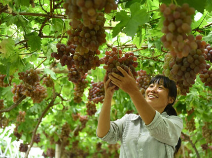 貧困脱却の夢へと向かう農村の女性