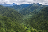 5代で70年間を秦嶺の山林に捧げる.jpg