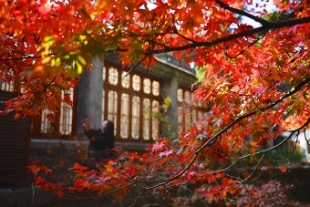 観光客で賑わう江西省廬山の美しい楓の紅葉.jpg