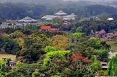 中国2ヶ所目の国家植物園が広州で設立　今後の「国家植物園ファミリー」拡大計画は？.jpg