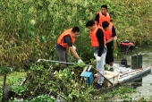 ＜動画＞生態保護理念の実践によって美しく生まれ変わった巣湖一帯の湿地.jpg