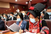 2020年の省級両会が全て閉幕　新型コロナ対策が重要議題に.jpg