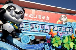 貴方はなぜ中国国際輸入博覧会へ？　各国からの参加者に聞いてみた！